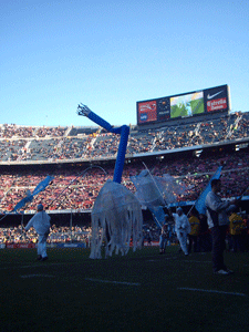 Inflatable jellyfish
